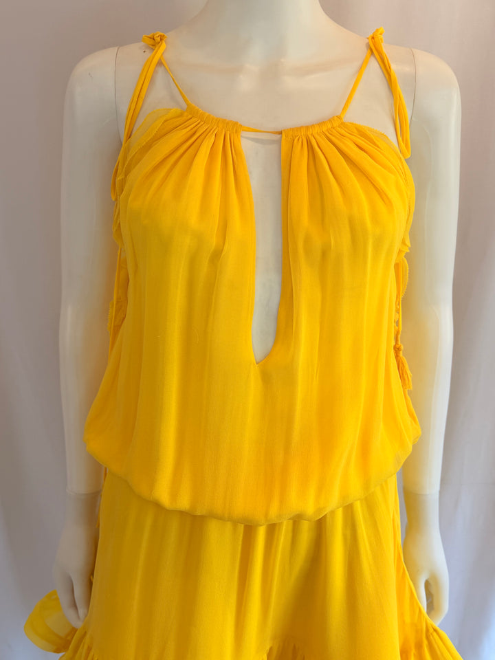 Alexis Silk Knee-Length Dress