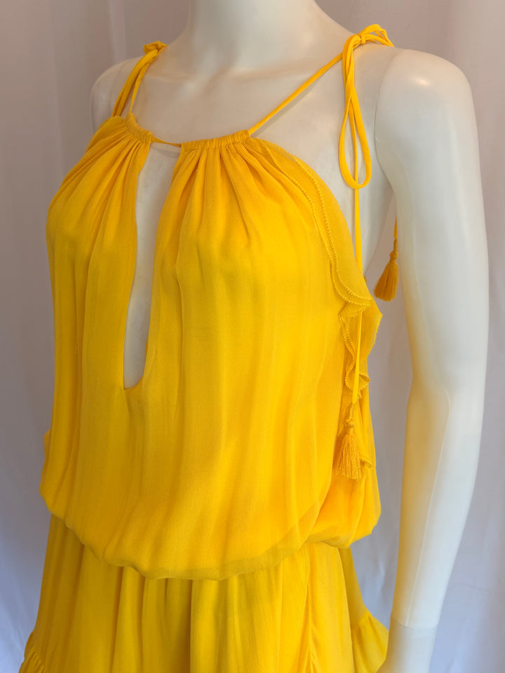 Alexis Silk Knee-Length Dress