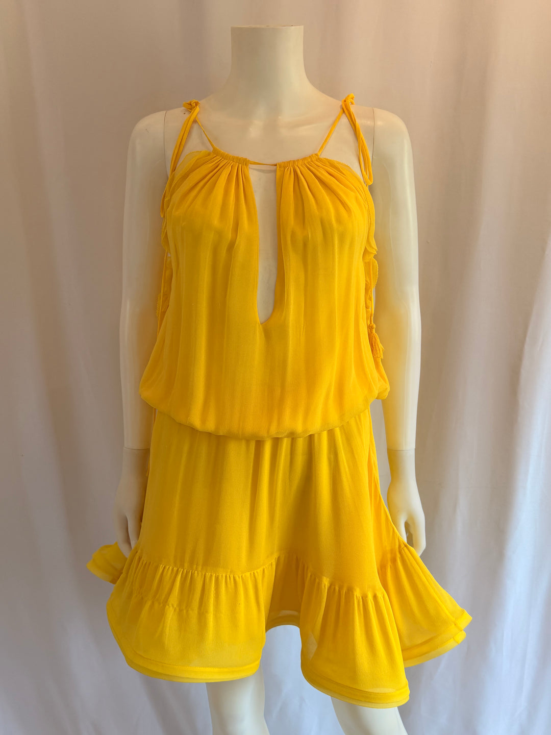 Alexis Silk Knee-Length Dress