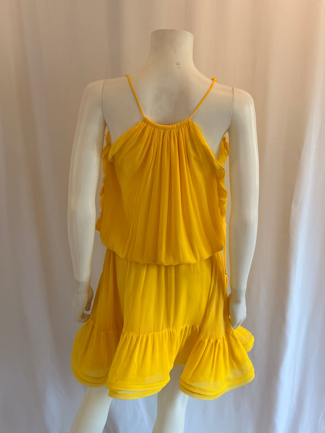 Alexis Silk Knee-Length Dress