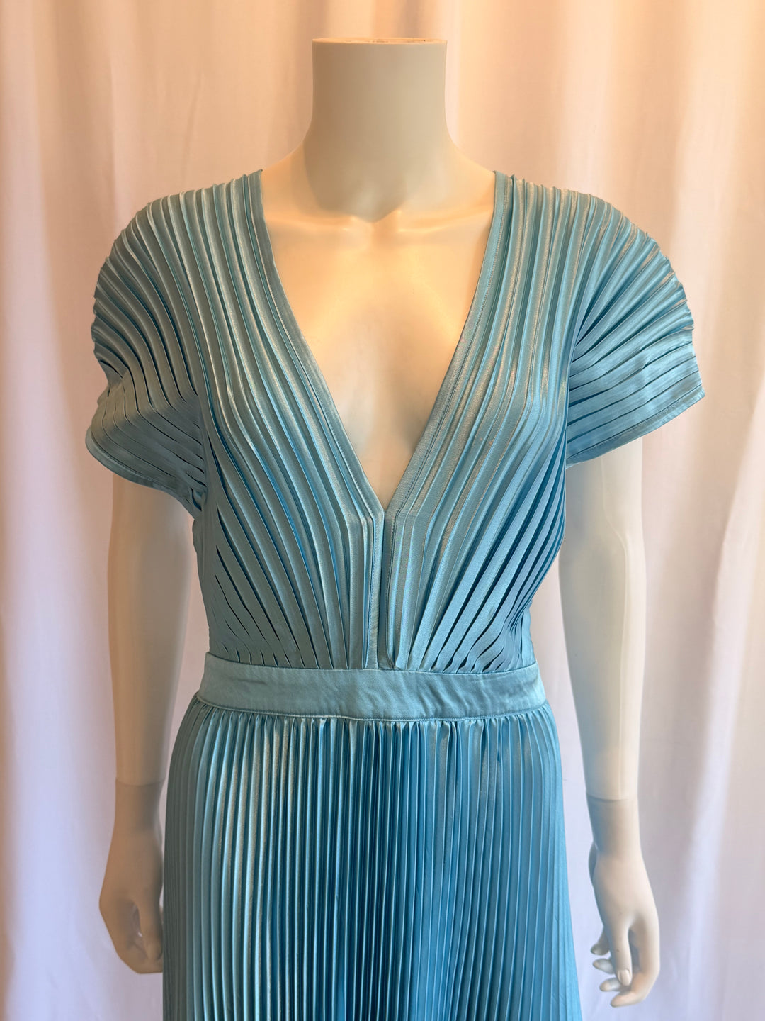 L'idee Pleated Gown