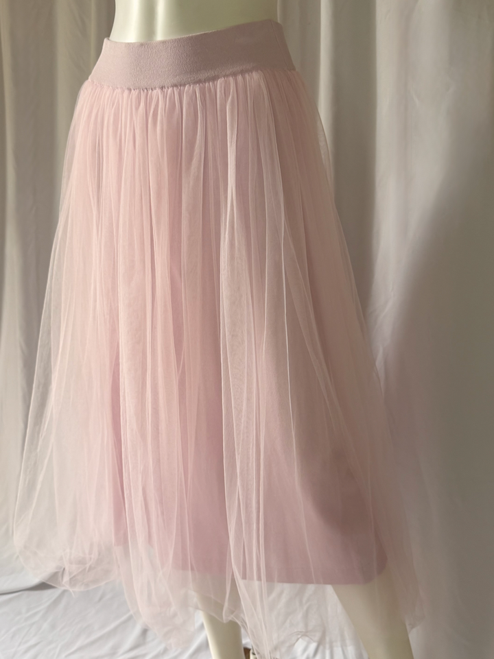 Autumn Cashmere Blush Tulle Midi Skirt